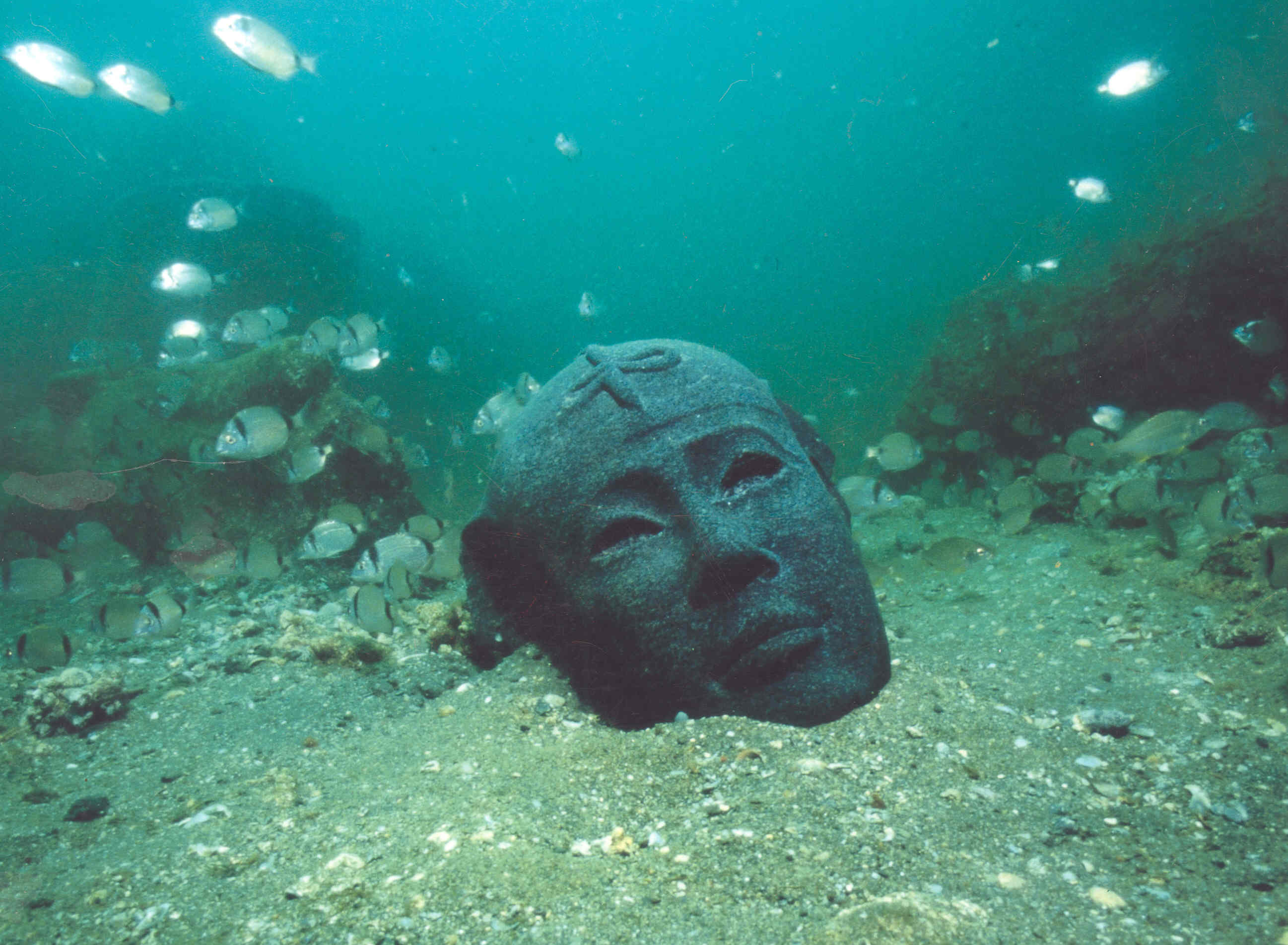 رأس من الديوريت اكتشفت بخليج أبوقير