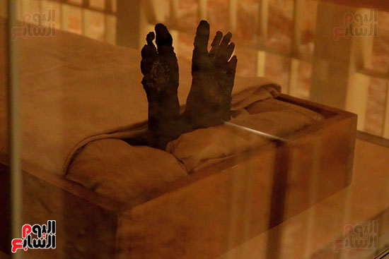 المعابد هنا ليست حجارة بل روح حضارة