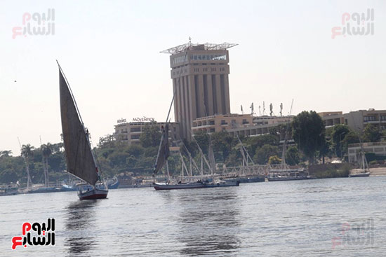 أسوان-فى-الموسم-الشتوى أسوان-فى-الموسم-الشتوى