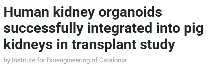 WhatsApp Image 2025-11-02 at 10.50.58 AM