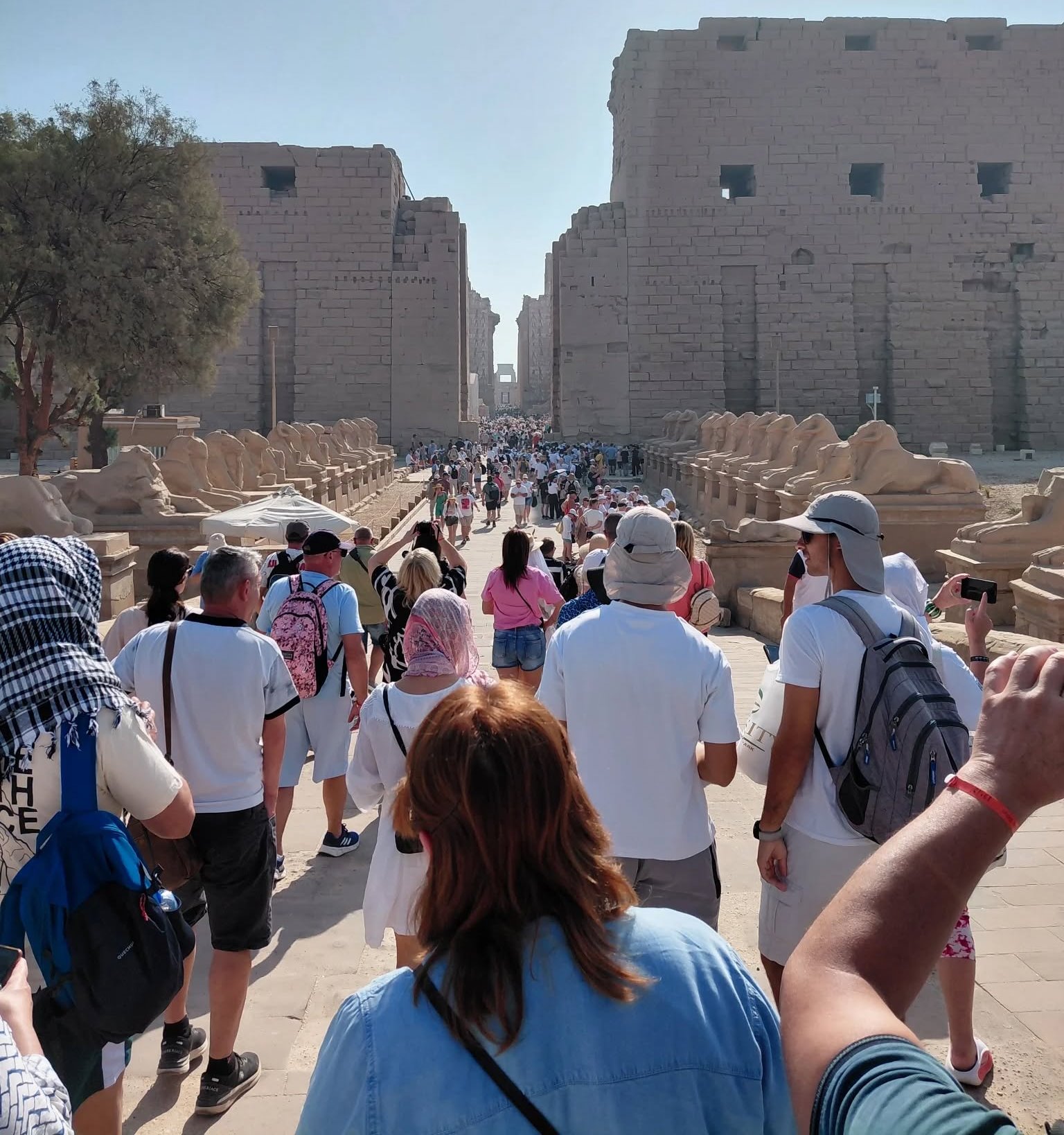 توافد السائحين على معابد الأقصر