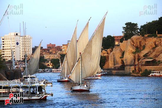 المراكب-الشراعية_1 المراكب-الشراعية_1