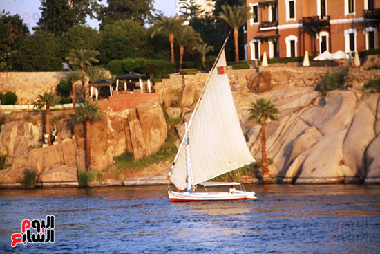 مركب-شراعى-فى-النيل مركب-شراعى-فى-النيل