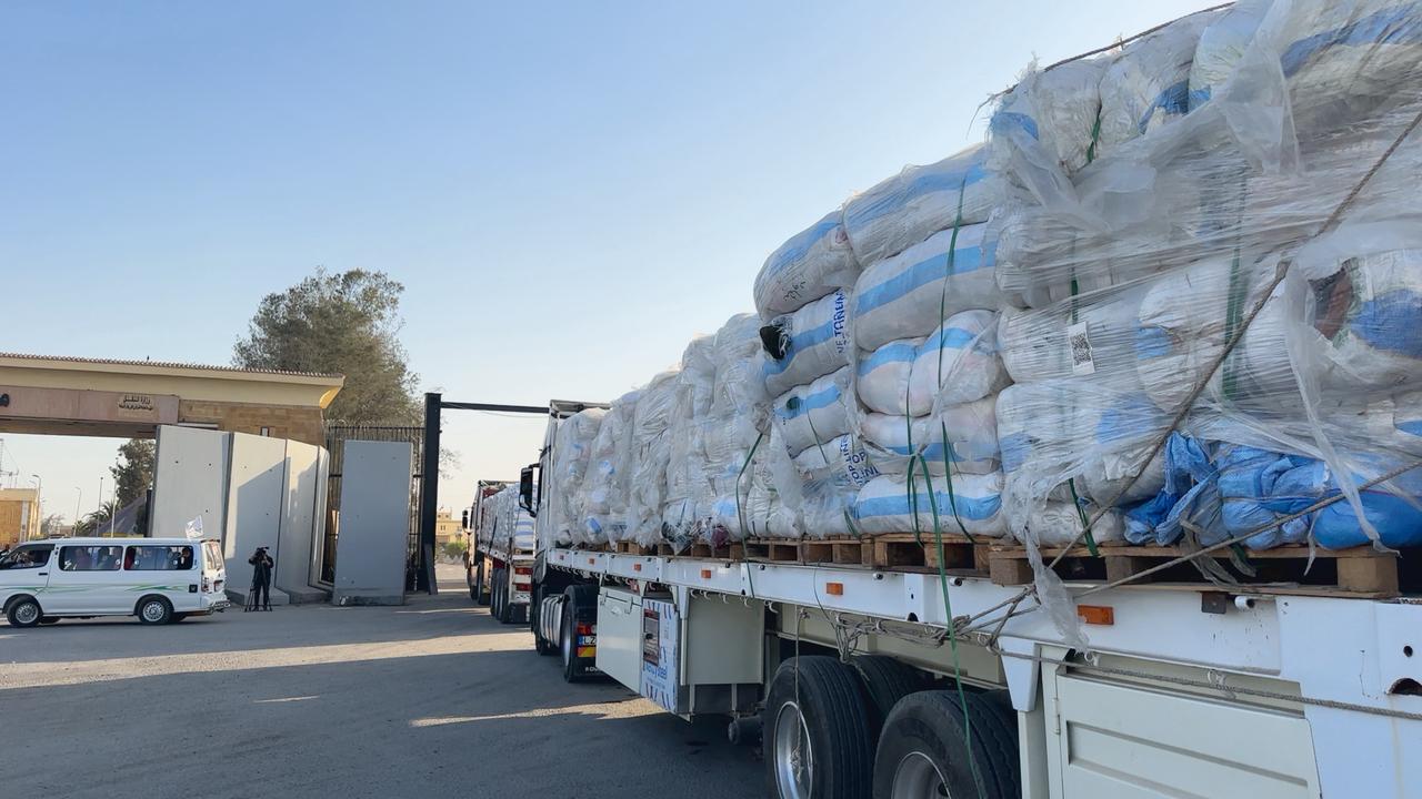 الهلال الأحمر المصري يطلق «زاد العزة» الـ77  (7)