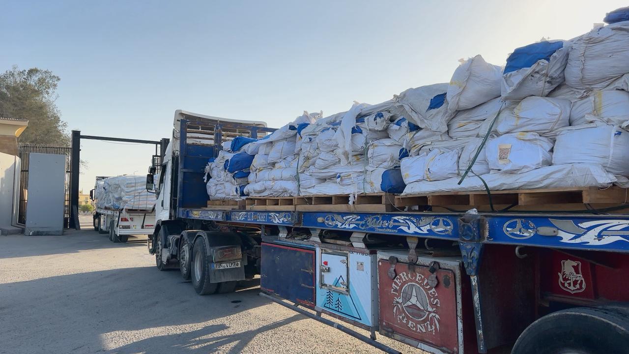 الهلال الأحمر المصري يطلق «زاد العزة» الـ77  (1)