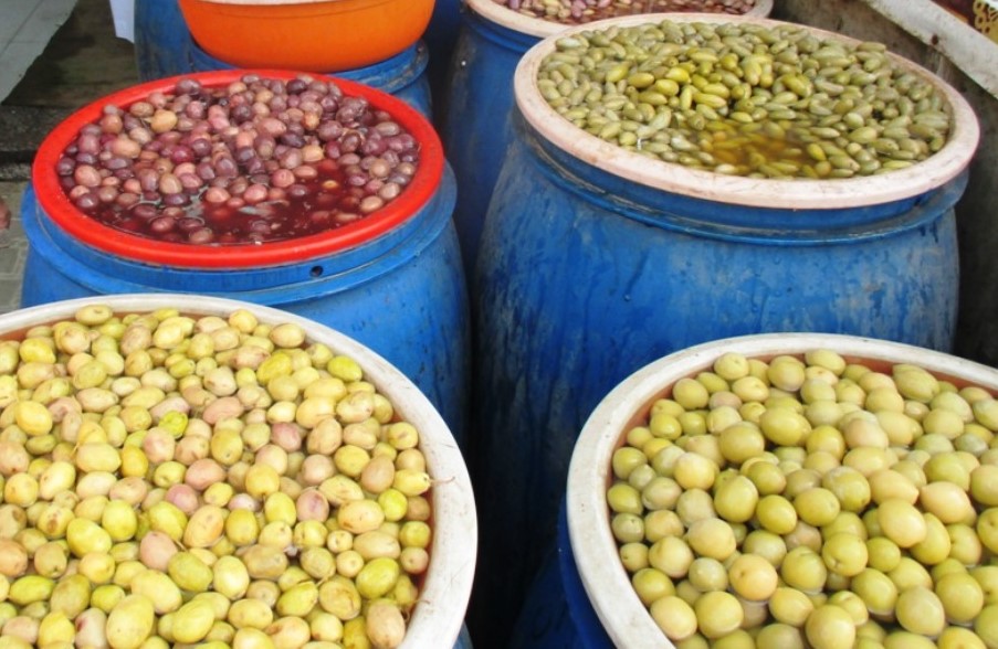 مطروح وسيوة تنتجان اجود انواع الزيتون