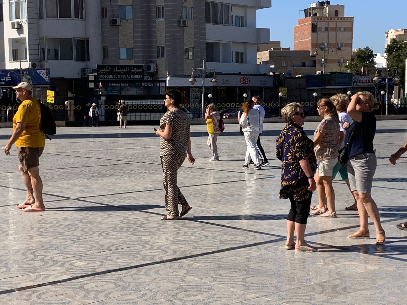 الوفود السياحية 