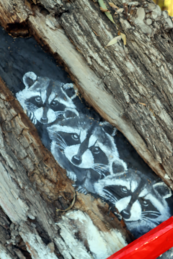 غابات بريشة فنان  (5)