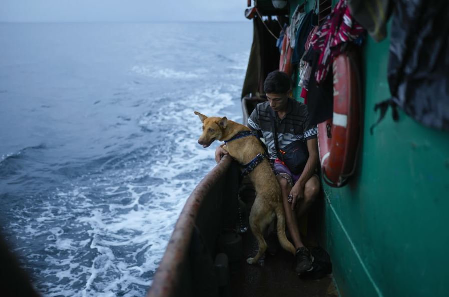 مقال مصور المهاجرون الفنزويليون يستخدمون طرقًا خطيرة في موجة الهجرة العكسية (10)