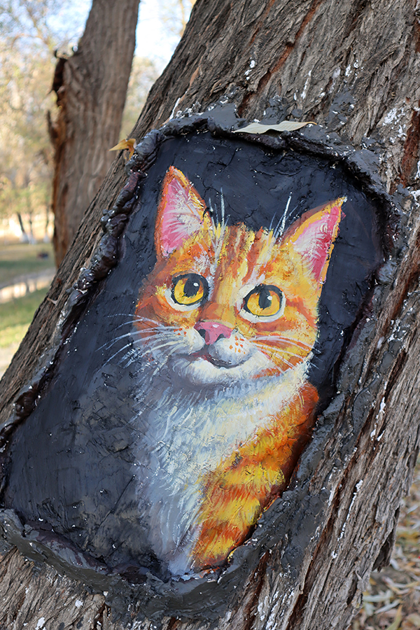 غابات بريشة فنان  (1)