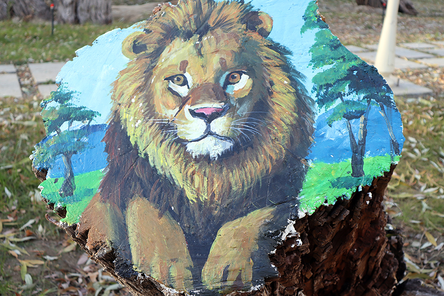 FOREIGN17634485880832UZGRLTFW8