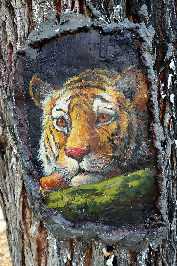 غابات بريشة فنان  (2)