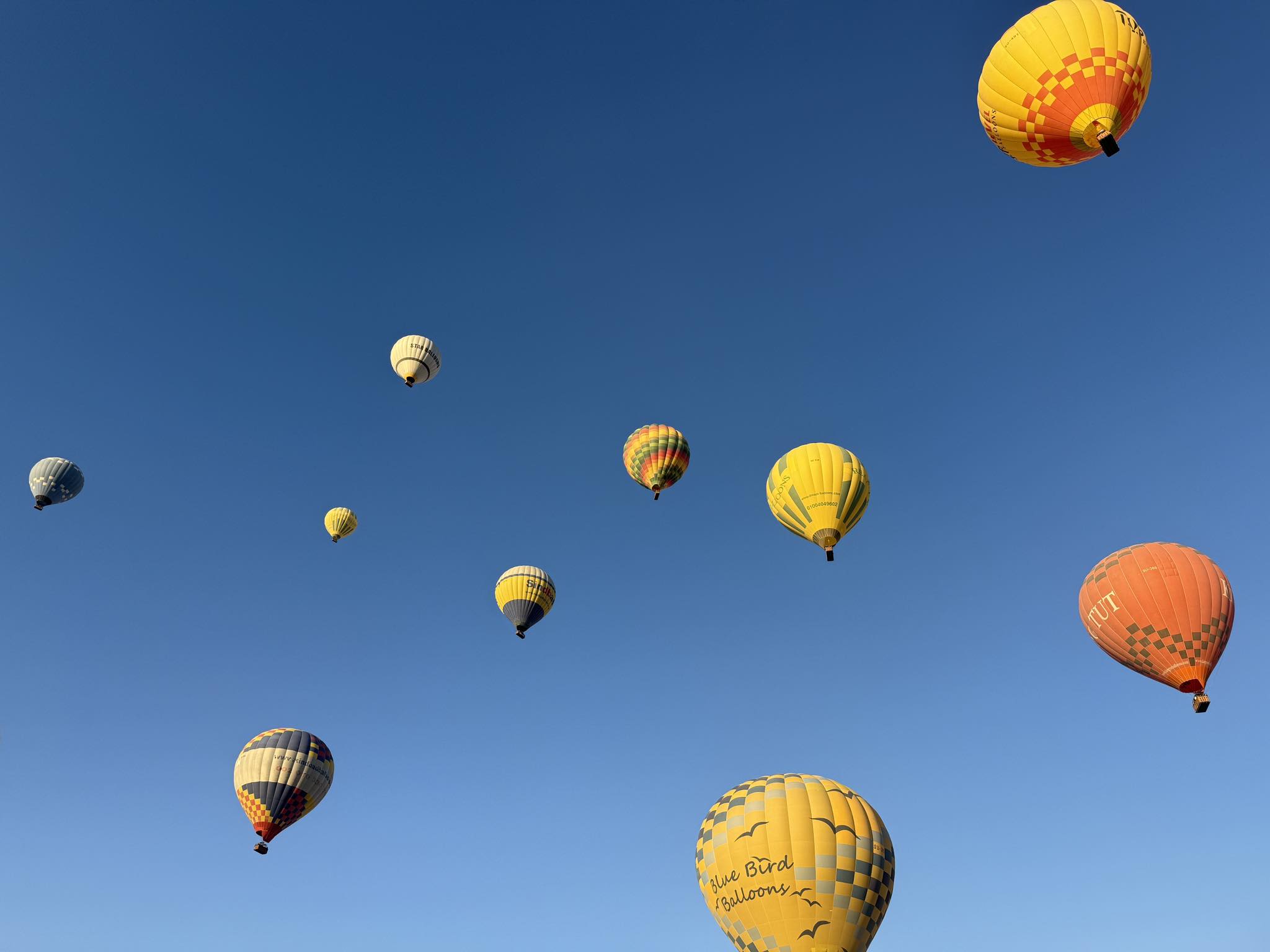 سماء الأقصر تشهد تحليق 77 رحلة بالون طائر أقلت على متنها 1750 سائح