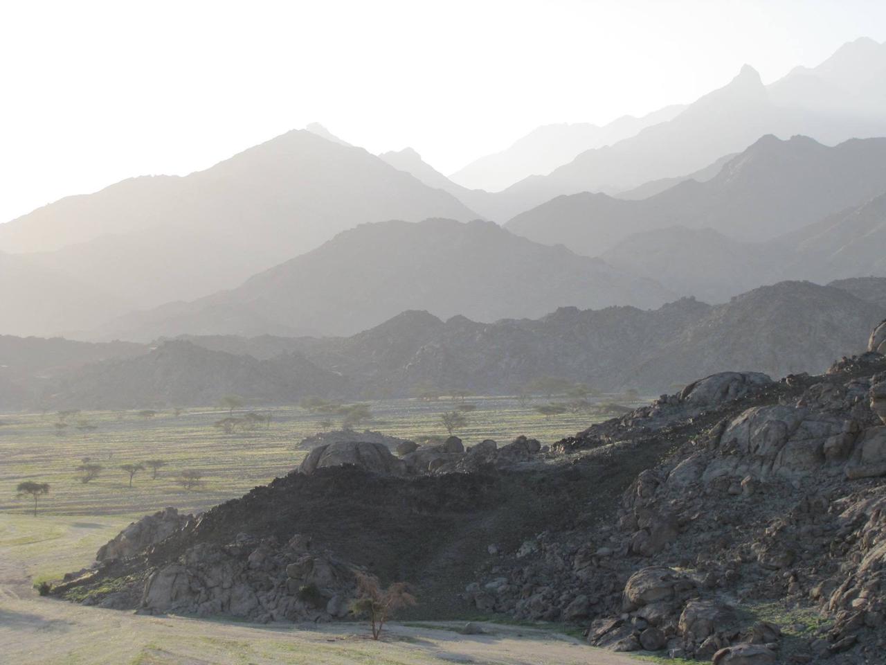 جبل علبه وواحد الضباب