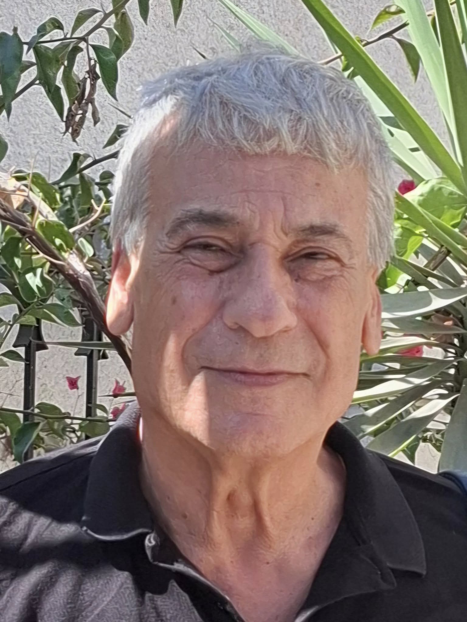 الدكتور عبد الكريم عاشور