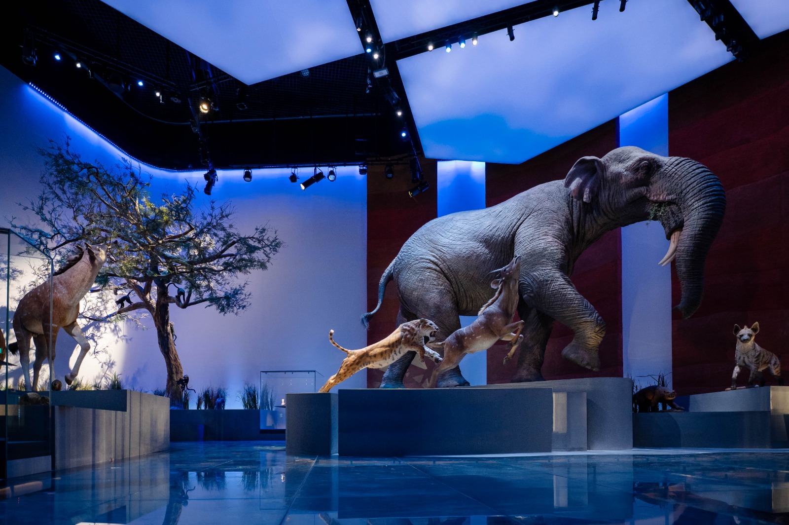 6b481382-0db5-4a3b-8e86-5e859415a730