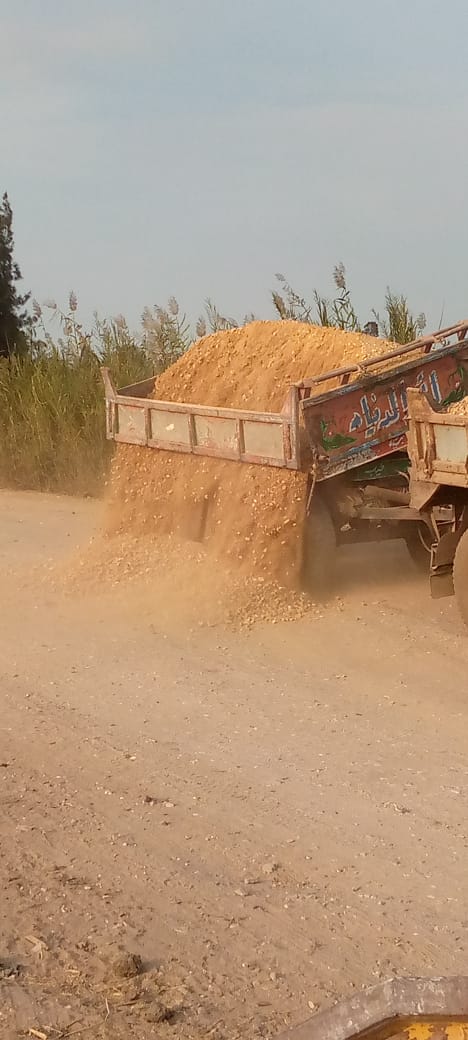 نقل السن وفرده