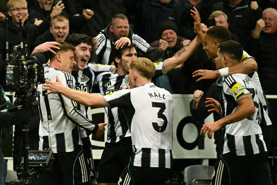 احتفال لاعبى نيوكاسل