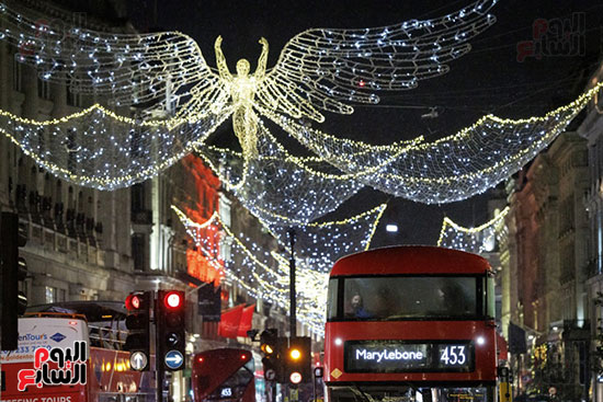 حافلات تتيح للزوّار الاستمتاع بمشاهدة الأضواء حافلات تتيح للزوّار الاستمتاع بمشاهدة الأضواء