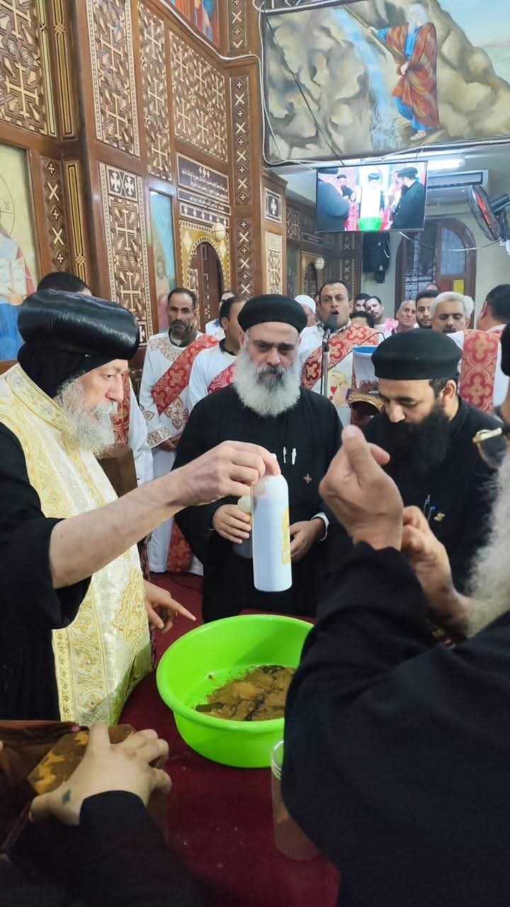 1000015612 1000015612