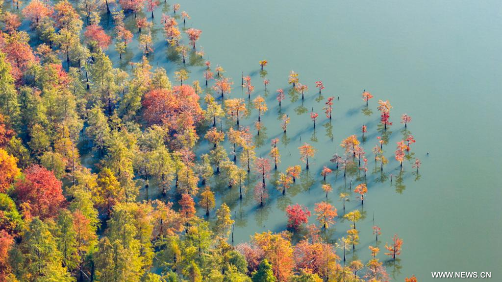 موسم الشتاء يفرض سيطرته على جميع أنحاء الصين (7)