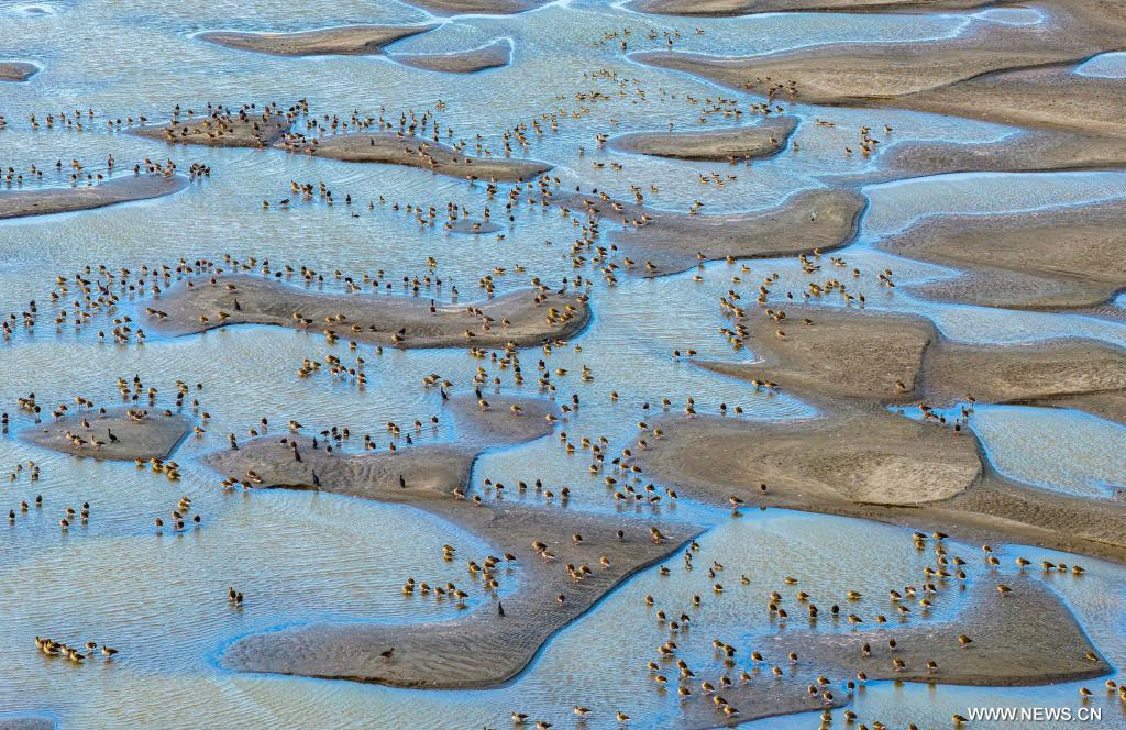 موسم الشتاء يفرض سيطرته على جميع أنحاء الصين (6)