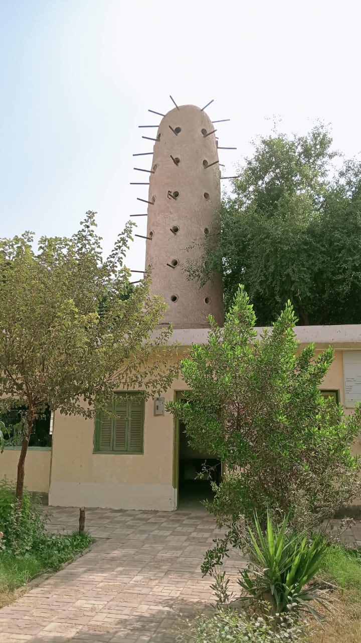 مشروعات تربية الحمام