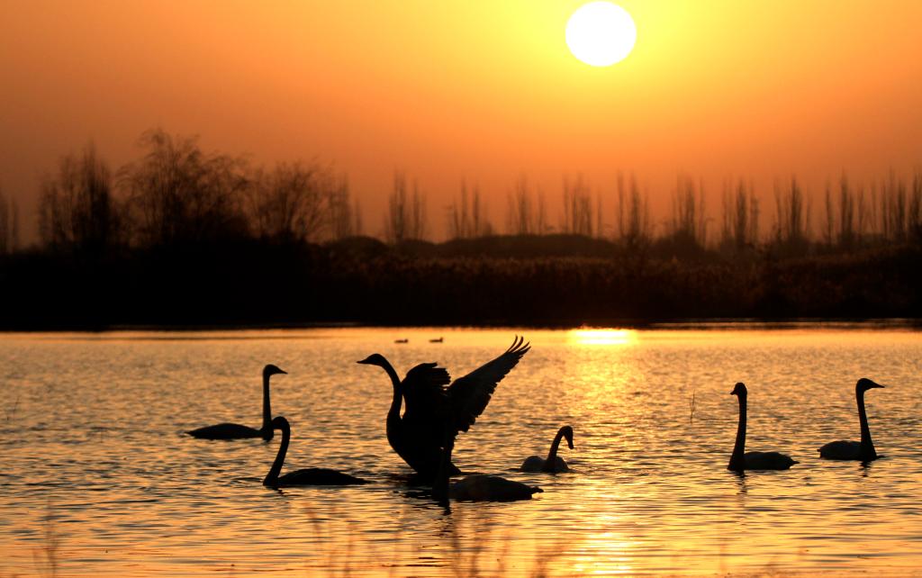 موسم الشتاء يفرض سيطرته على جميع أنحاء الصين (1)