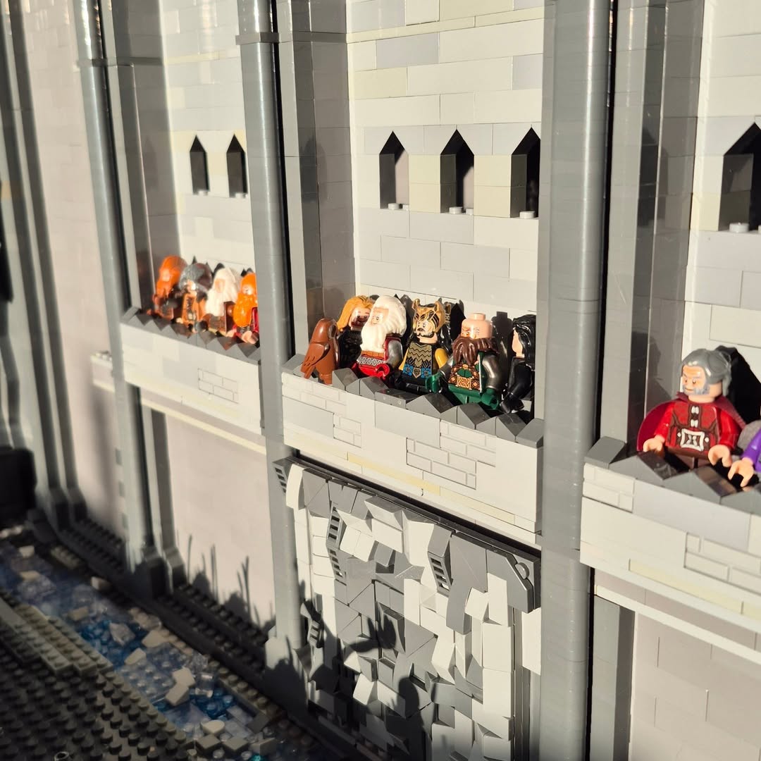 أجزاء من المجسم أجزاء من المجسم