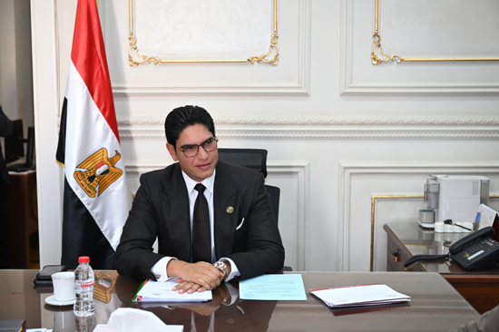 لجنة الشؤون المالية والاقتصادية والاستثمار بمجلس الشيوخ (1)