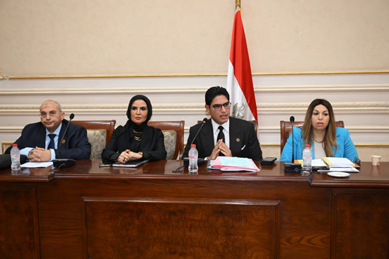 لجنة الشؤون المالية والاقتصادية والاستثمار بمجلس الشيوخ (4)