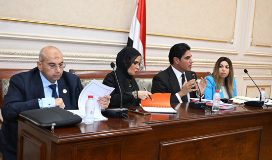 لجنة الشؤون المالية والاقتصادية والاستثمار بمجلس الشيوخ (2)