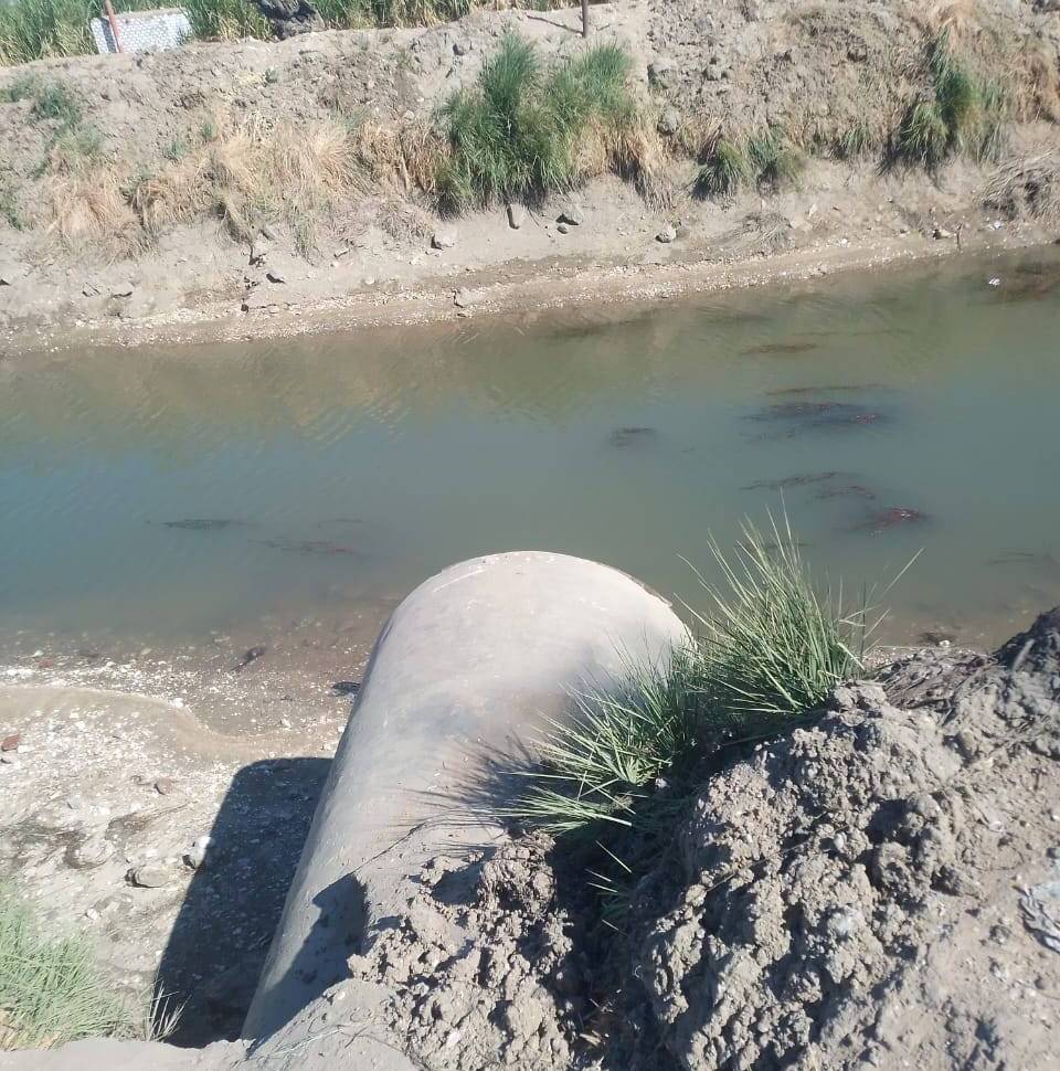 جانب من تطهير مخرات السيول فى مدينة أرمنت