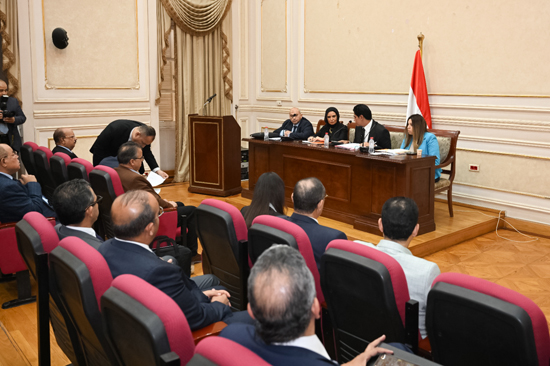 لجنة الشؤون المالية والاقتصادية والاستثمار بمجلس الشيوخ (3)