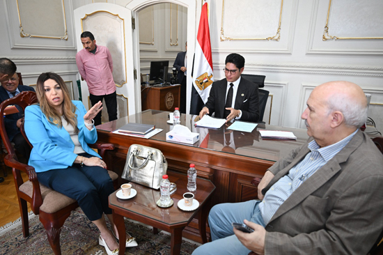 لجنة الشؤون المالية والاقتصادية والاستثمار بمجلس الشيوخ (6)