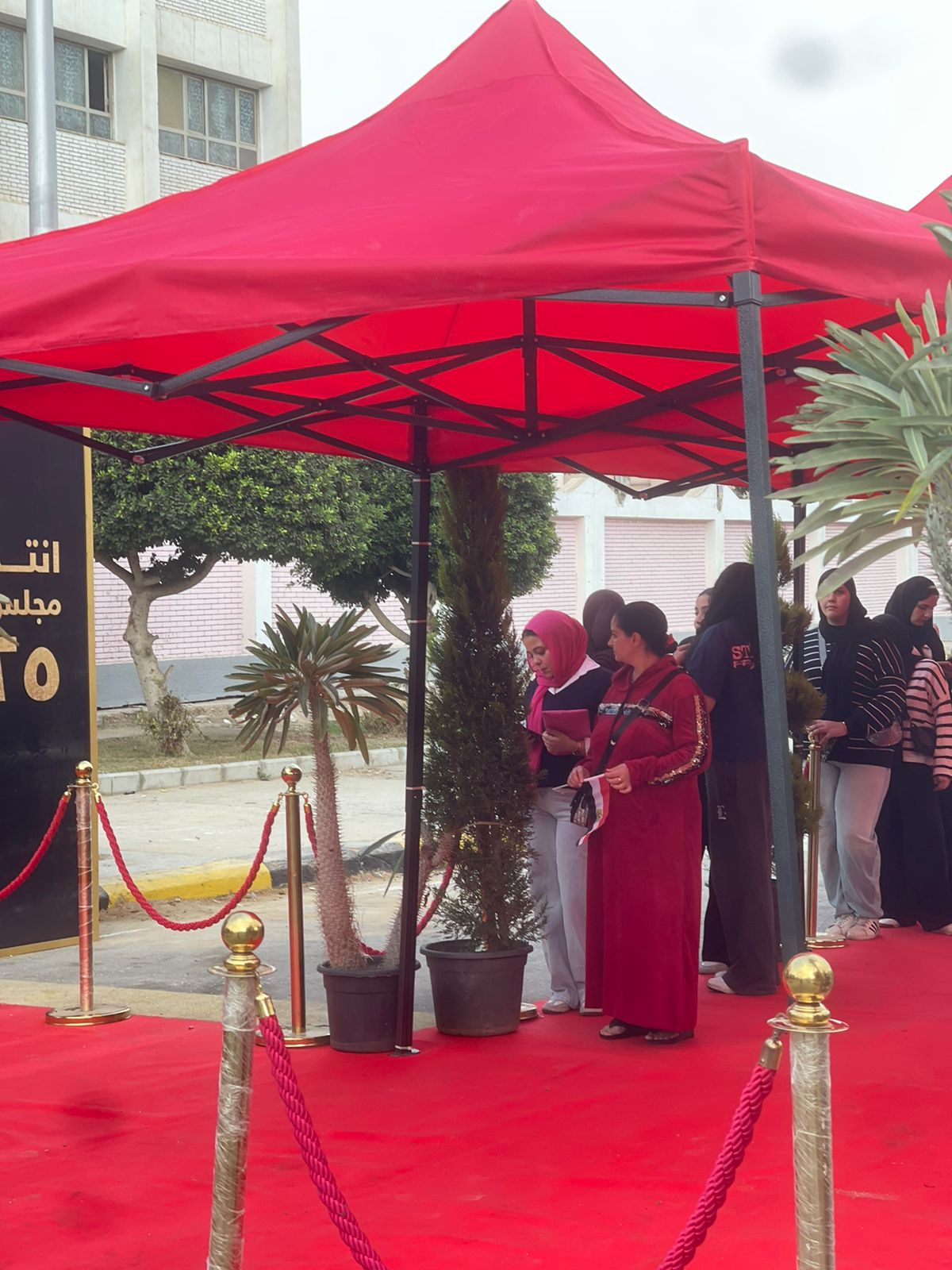 ناخبة بعلم مصر تخطف الأنظار