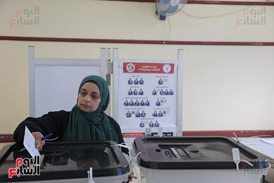 لجان مصر الجديدة (13)