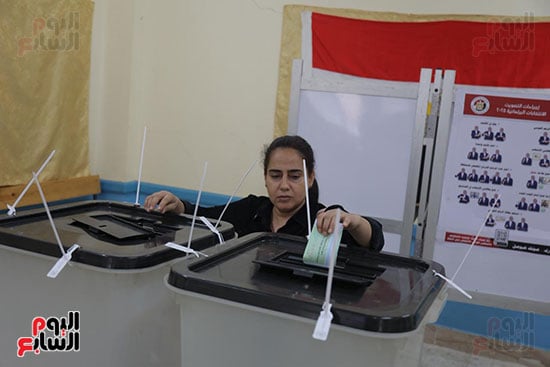 لجان مصر الجديدة (12)