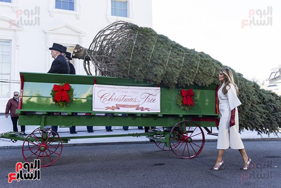 ميلانيا ترامب