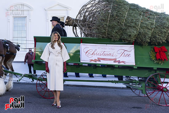 ميلانيا ترامب تلتقط الصور مع شجرة عيد الميلاد بعد وصولها البي الأبيض