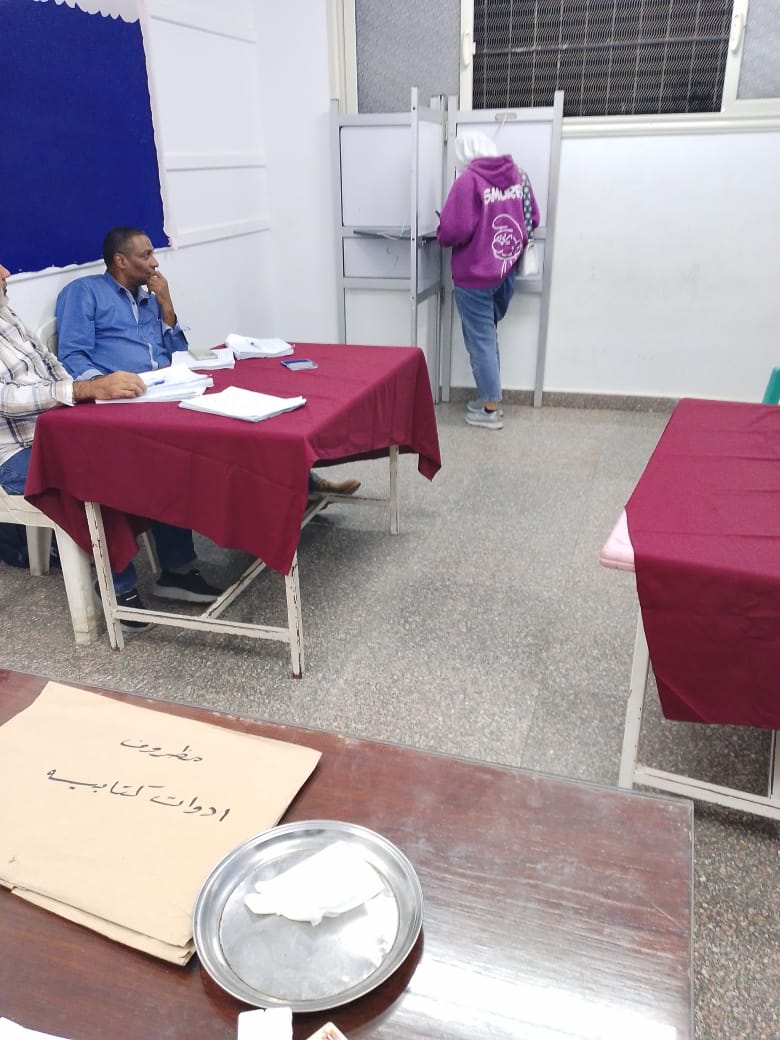 انتخابات المرحلة التانية مجلس النواب (6)