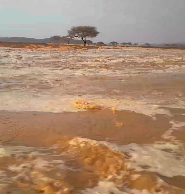 كميات كبيرة بالأدوية الجبلية