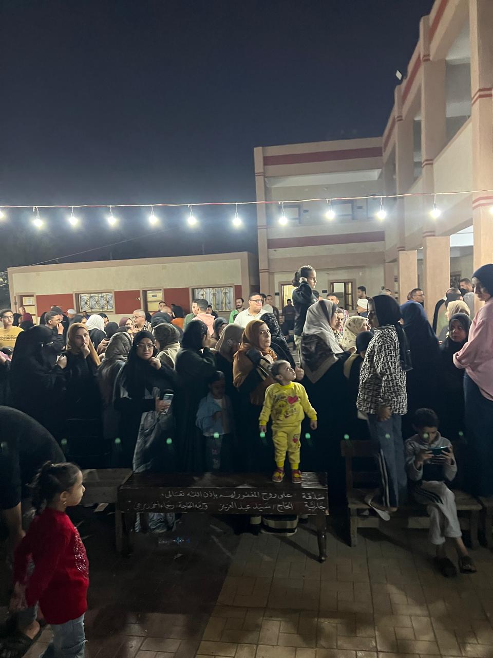 الزحام امام لجان الدقهلية