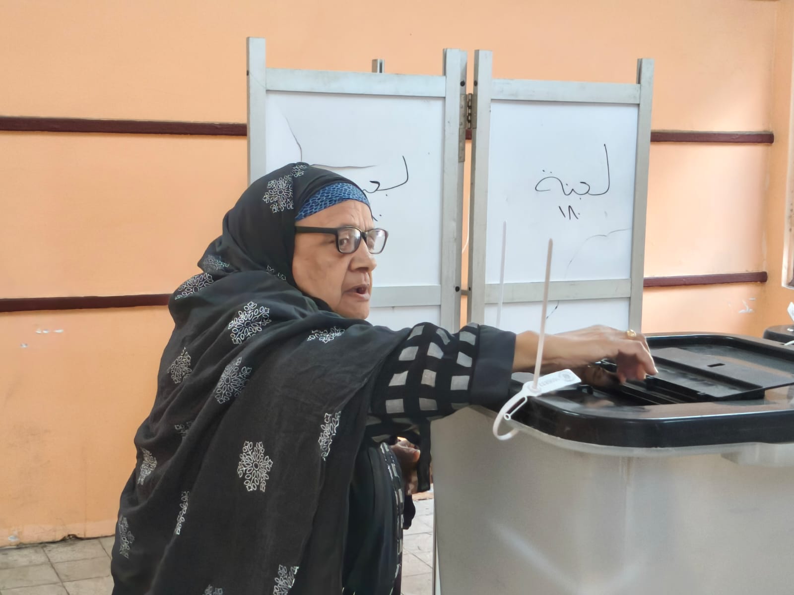 مسنة خلال الانتخابات 