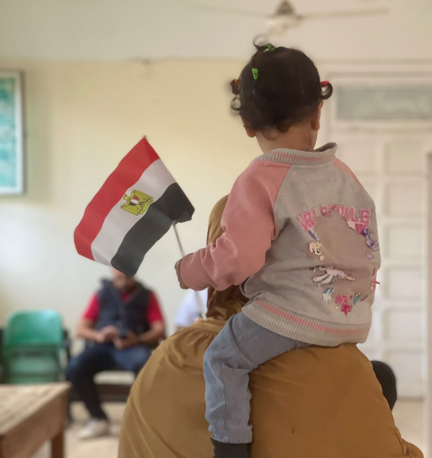 أعلام مصر تزين محيط اللجان