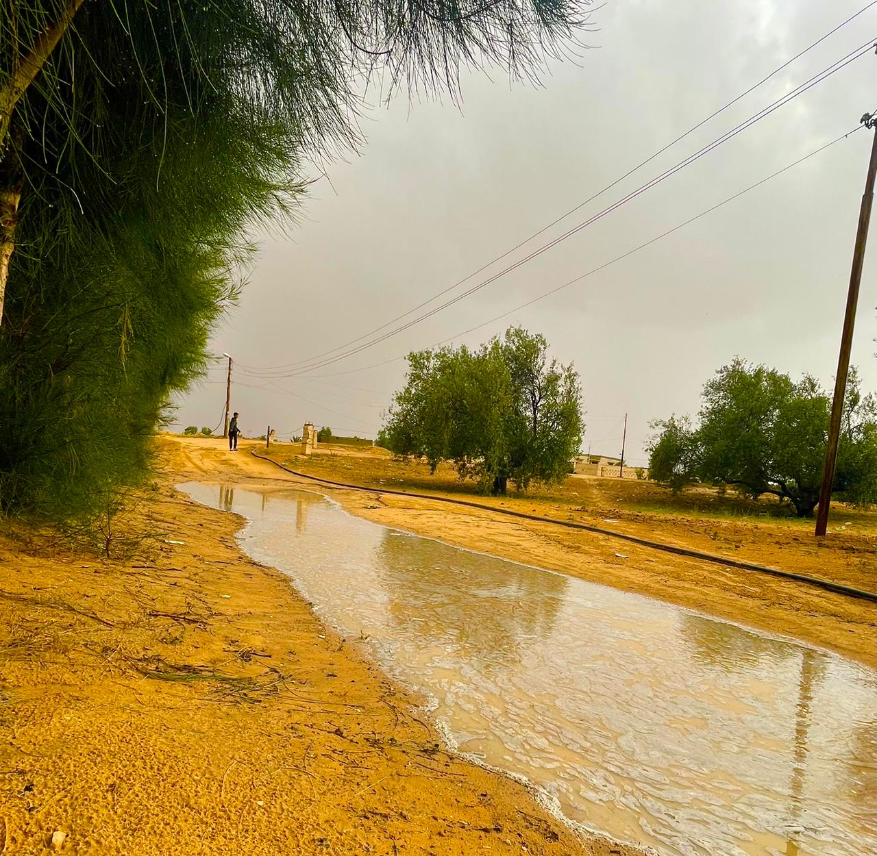 أمطار غزيرة على شمال سيناء (1)