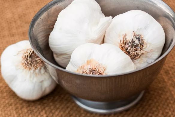 تخزين الثوم