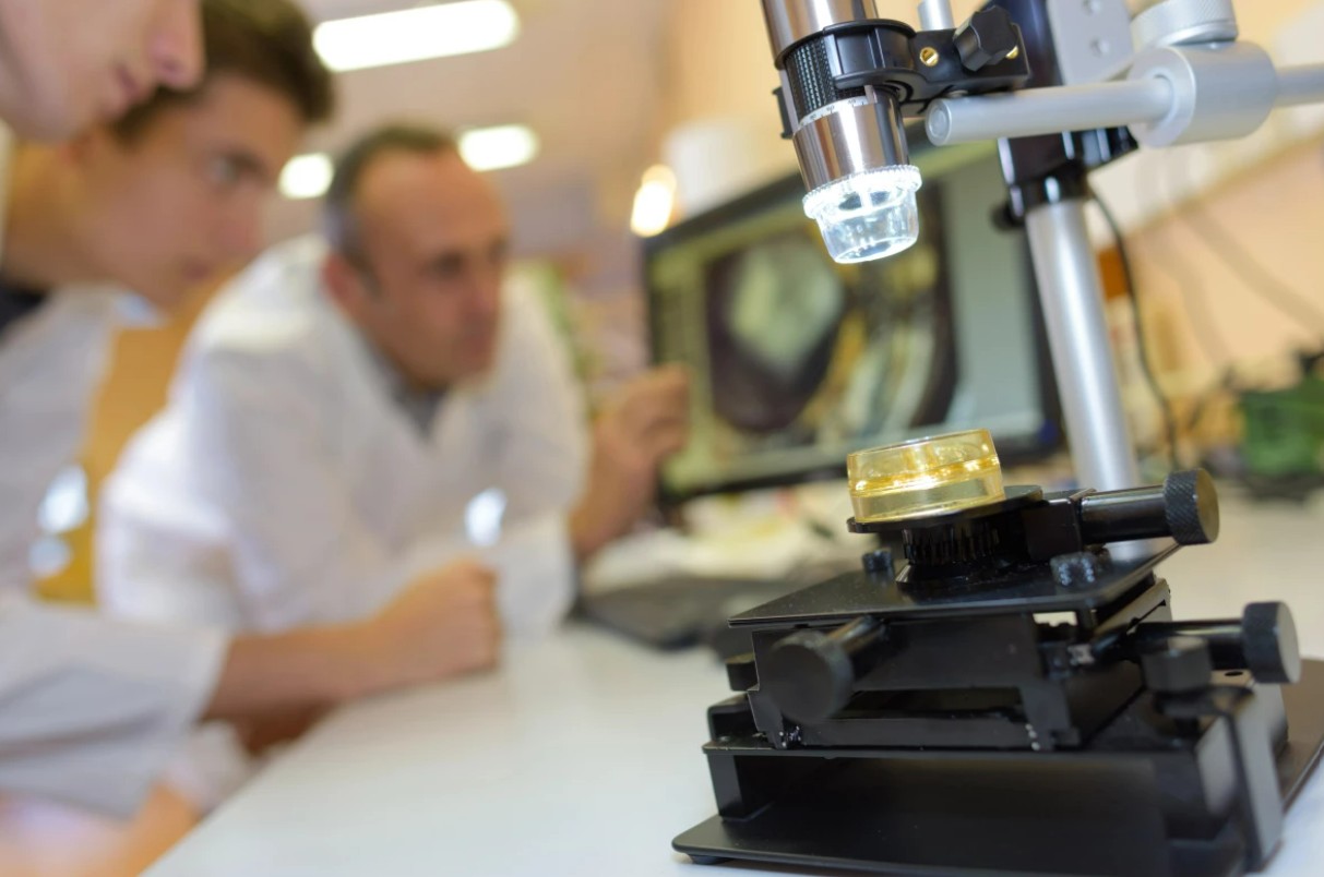 نموذج أنسجة الدماغ الجديد أكثر تفصيلاً من النماذج السابقة وهو اصطناعي بالكامل نموذج أنسجة الدماغ الجديد أكثر تفصيلاً من النماذج السابقة وهو اصطناعي بالكامل