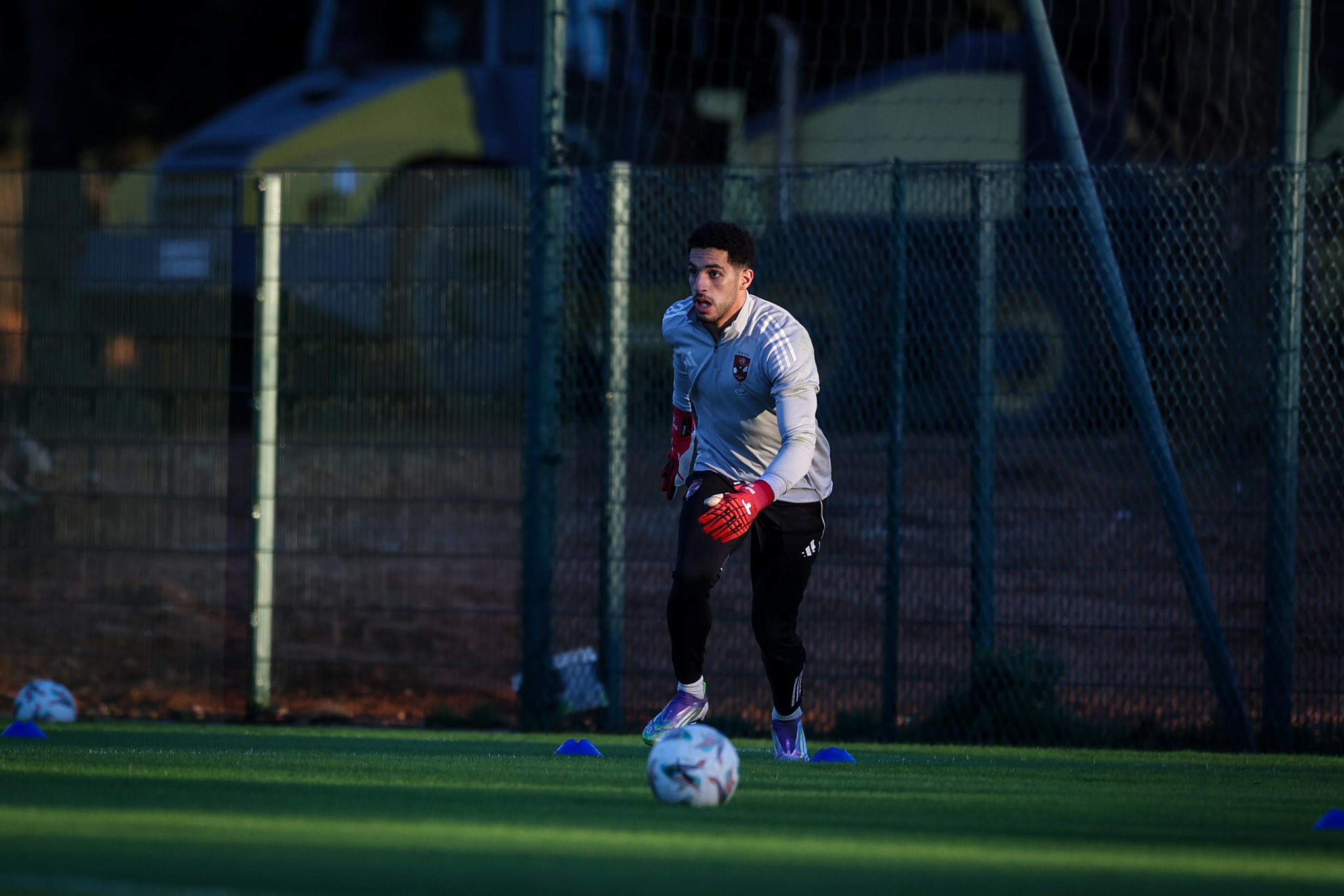 مصطفى شوبير