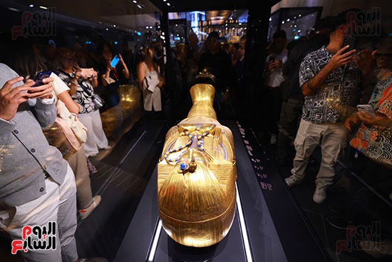 d3bd55ff-ba98-4d2a-a1b7-248ac1036728